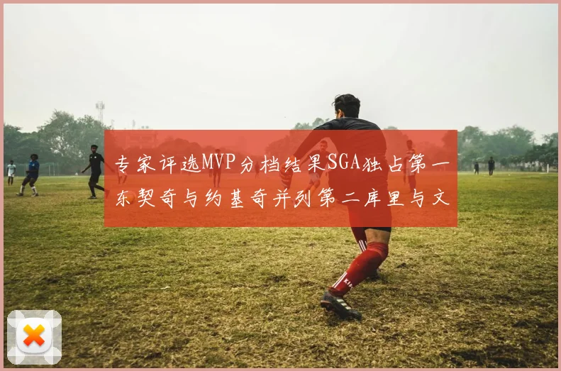 专家评选MVP分档结果SGA独占第一东契奇与约基奇并列第二库里与文班位列第四